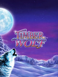 Timber Wolf